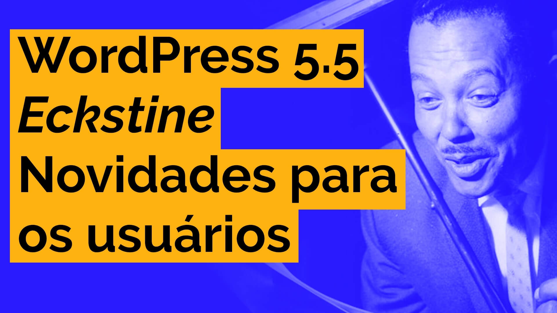 Leia mais sobre o artigo WordPress 5.5 – Novidades para os usuários